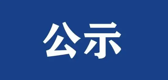 2024年度副高级专业技术职务资格申报公示